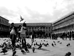Histoire de Venise, Saint Marc